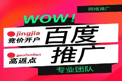 百度广告推广案例费用分享